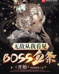 无敌从我看见BOSS血条开始